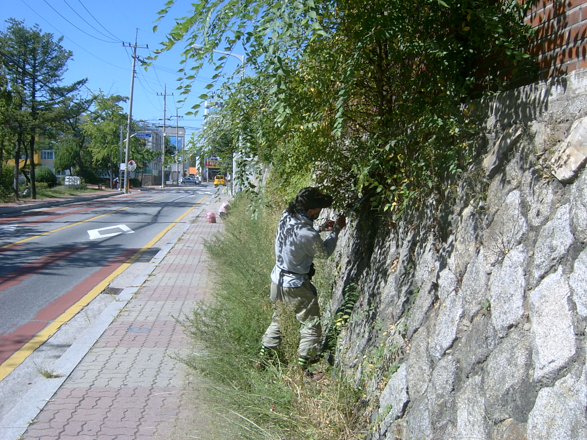 관내 제초작업 사진
