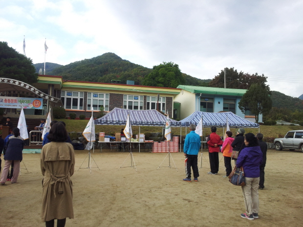2015 추곡초등학교 총동문회 체육대회