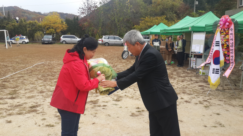 2015년 면민체육행사