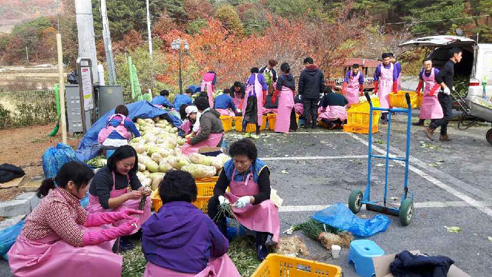 대한적십자사효자봉사회(효자2동) 김장 봉사