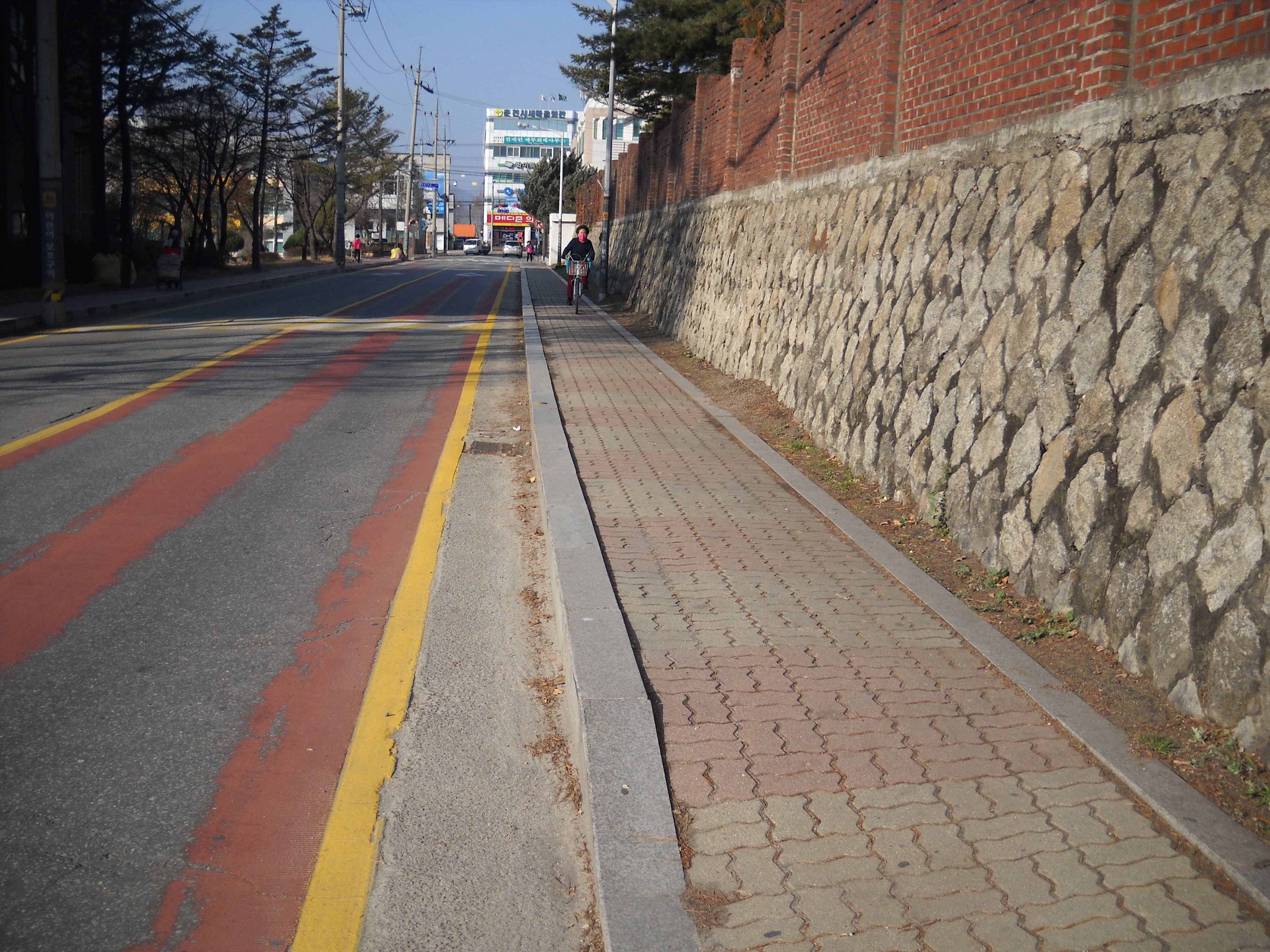 관내 환경정화 사진