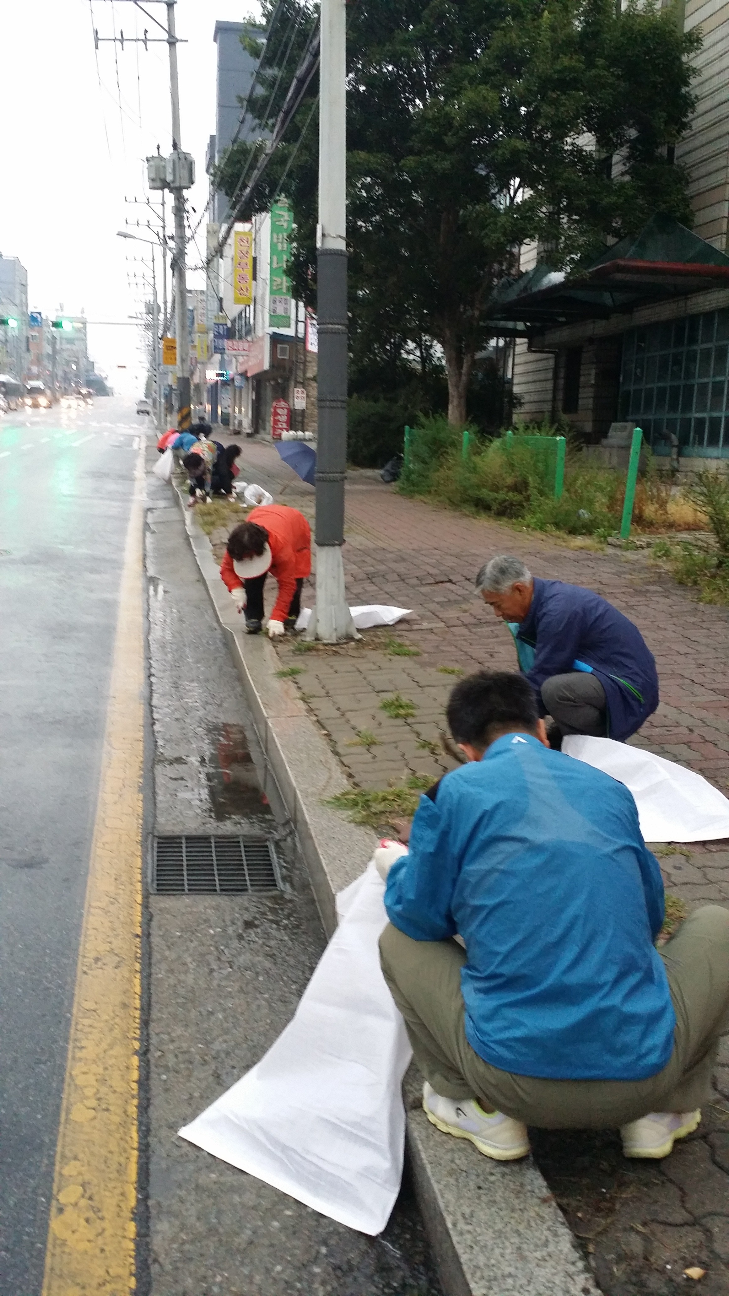 두하골 사회복지봉사단 소공원 및 도로변정비 실시