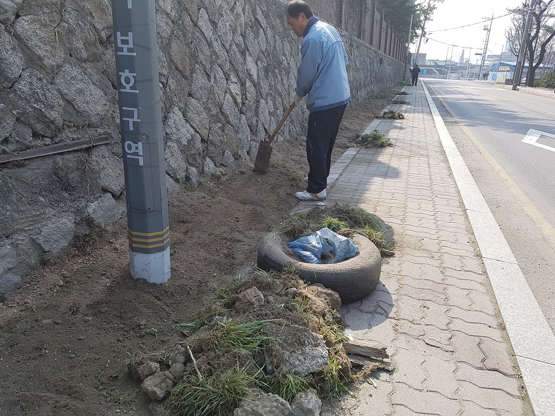 춘천초등학교 담장에 꽃길 조성(2017.03.31.)