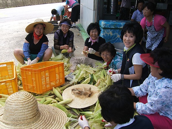 동산면 조양2리 체험행사