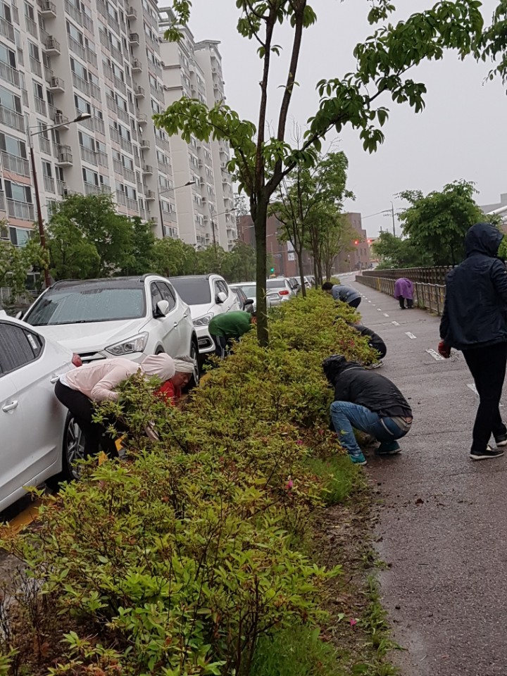 미사모(미소지움을 사랑하는 모임) 제초작업