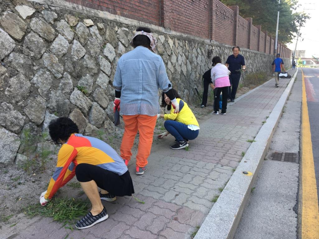 약사명동 주민자치위원회, 약사천 환경정화 활동약사명동 주민자치위원회 환경정화 활동(2018.06.22.)