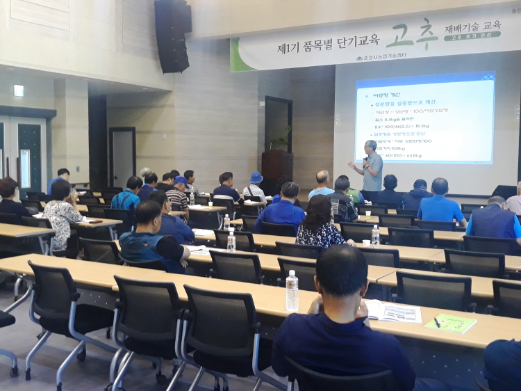 품목별단기교육(고추)