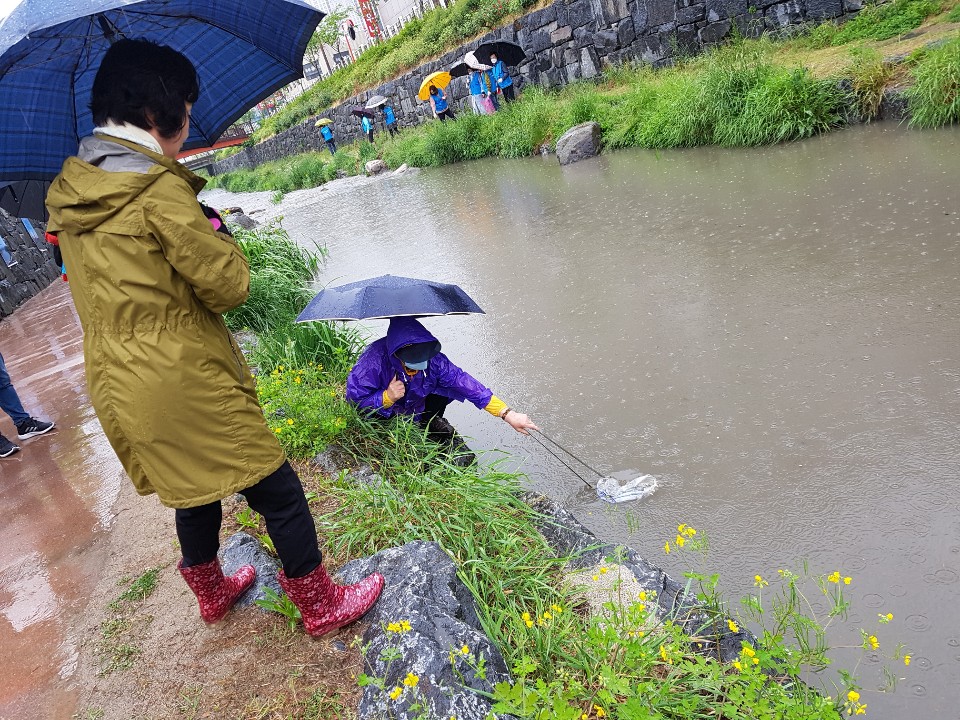 자연환경 정화 캠페인 (효자2동 약사천 살리기 실천단)