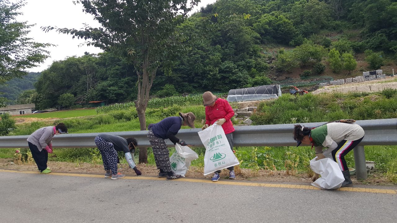 감정2리 마을정화(제초) 활동