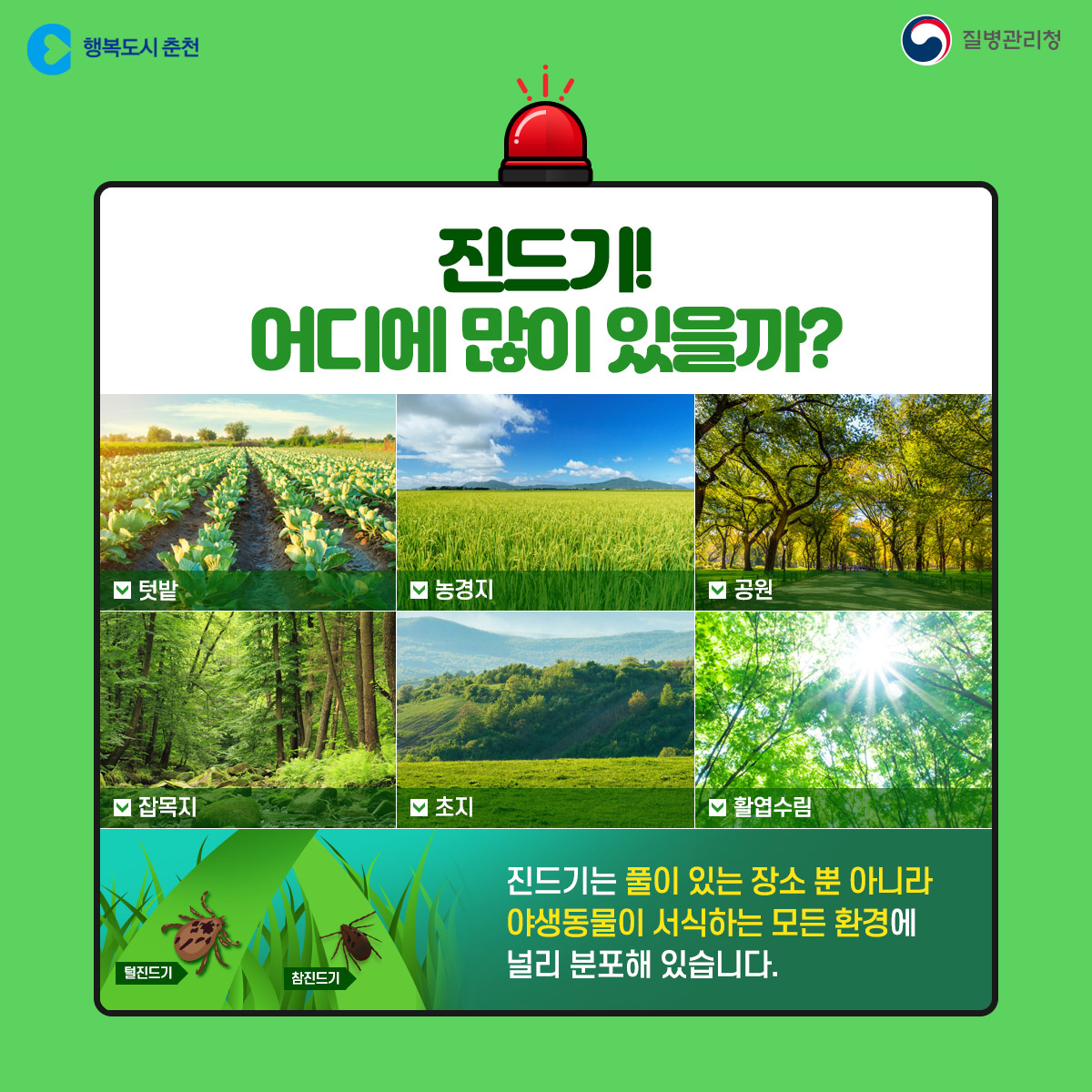 춘천시 SFTS 환자 발생!!! 예방 수칙 안내