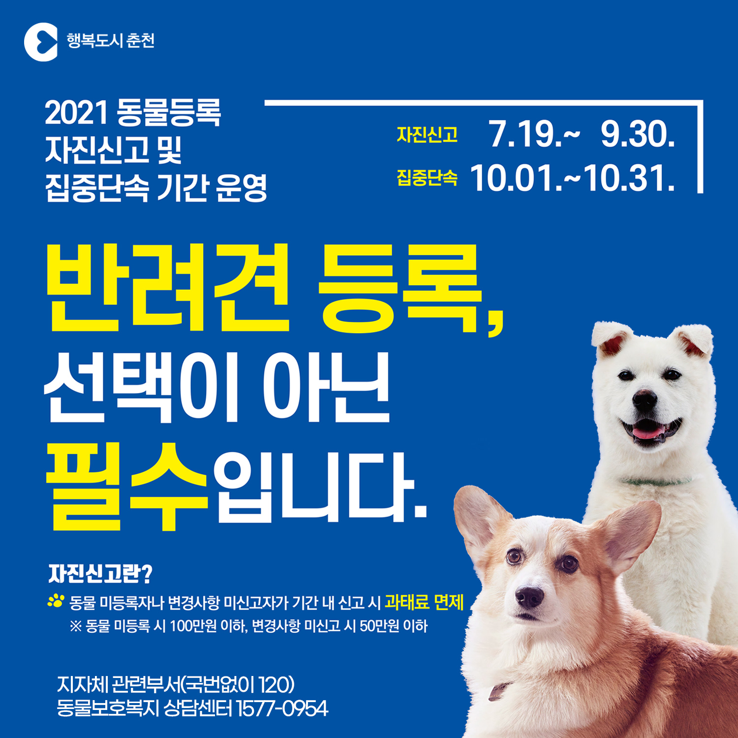 동물등록 자진신고 기간 운영 안내