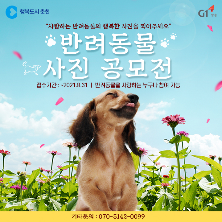 반려동물 사진 공모전 안내