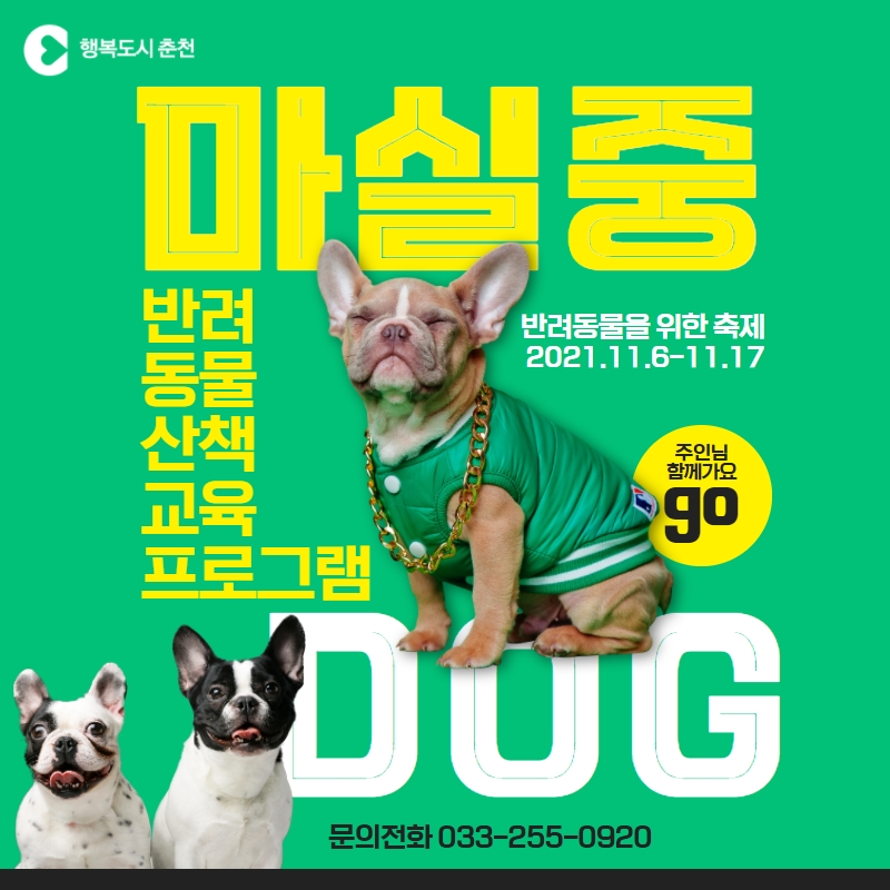 반려견과 함께하는 산책프로그램 안내
