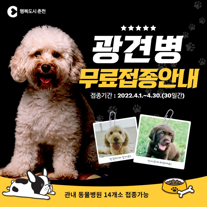 광견병 무료예방접종 안내