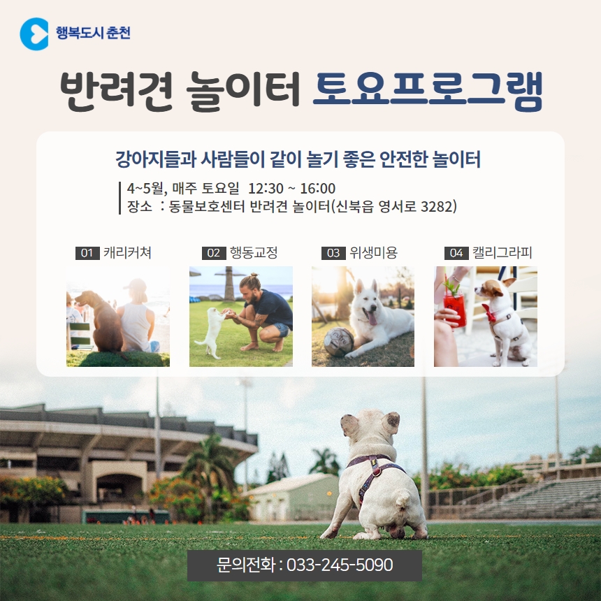 반려견 놀이터 상반기 토요 프로그램 안내