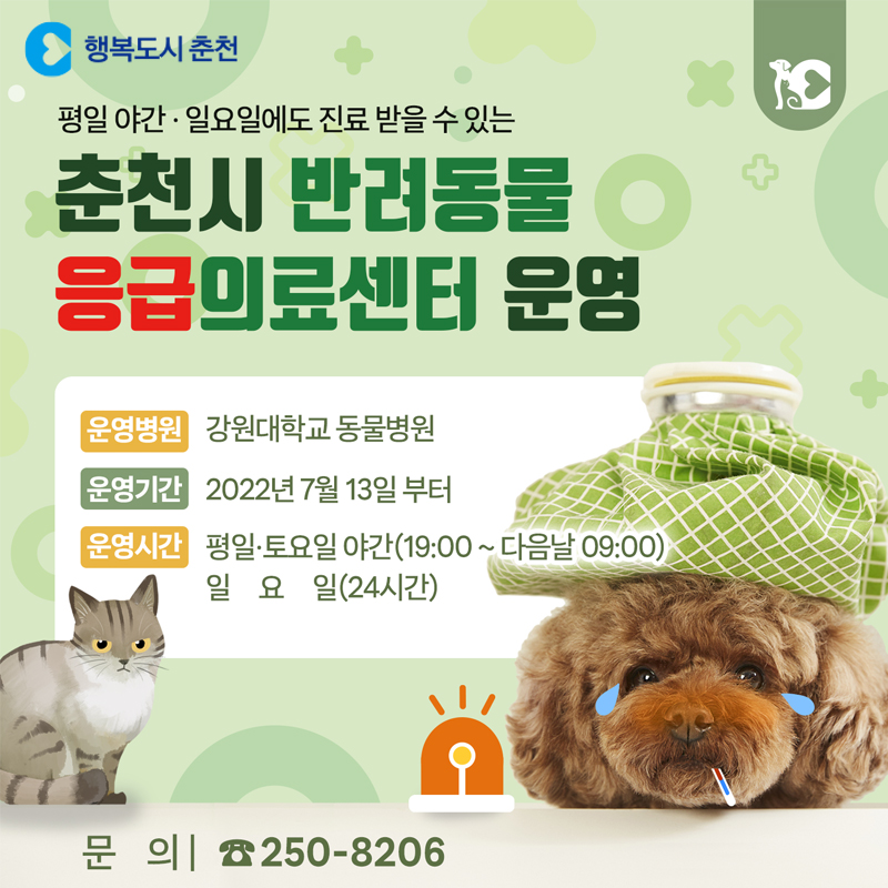 춘천시 반려동물 응급의료센터 운영 안내