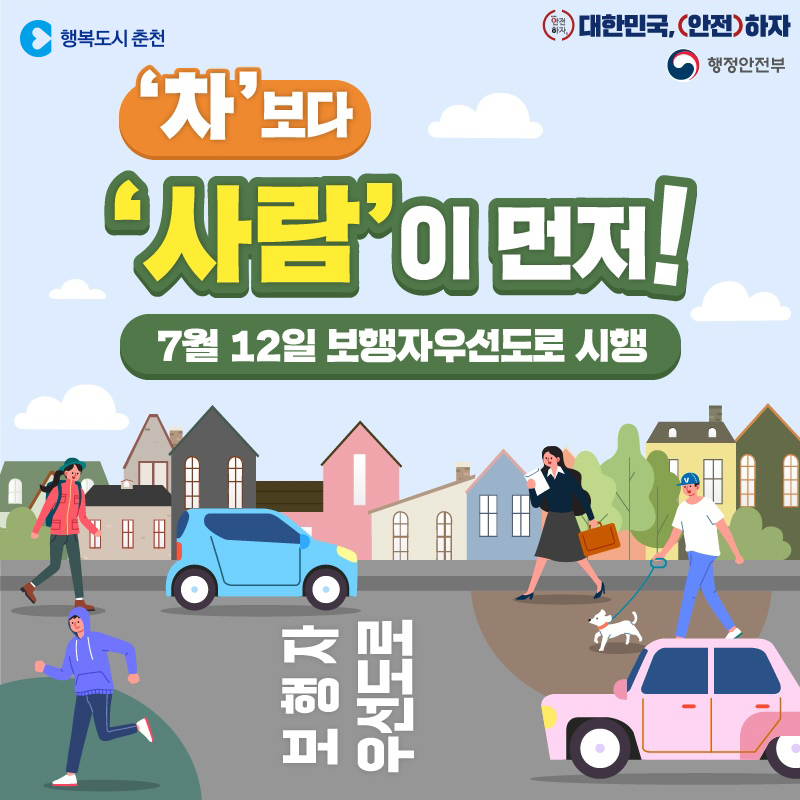 대한민국, (안전)하자