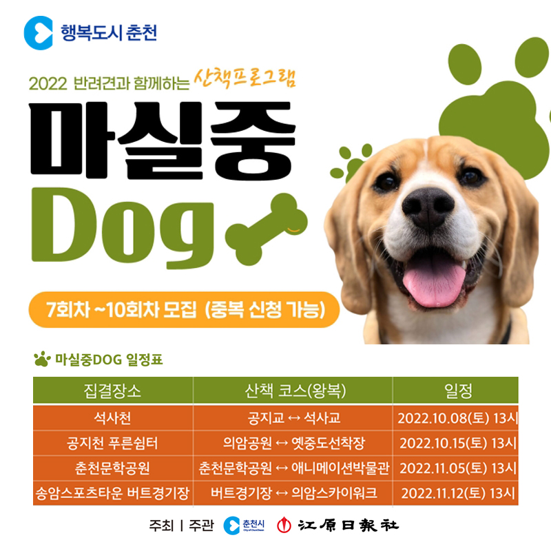 반려견과 함께하는 산책프로그램 마실중Dog