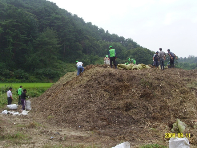 지내2리 퇴비증산