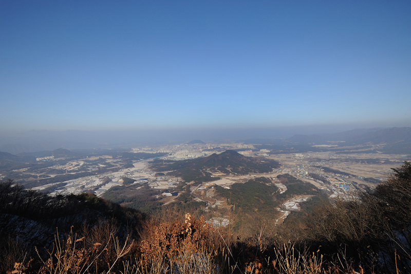 위에서 본 동면