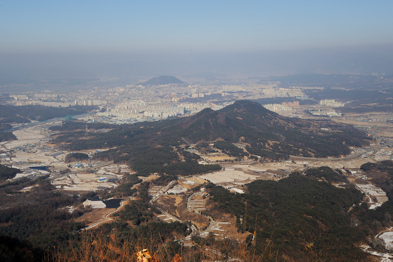 위에서 본 동면