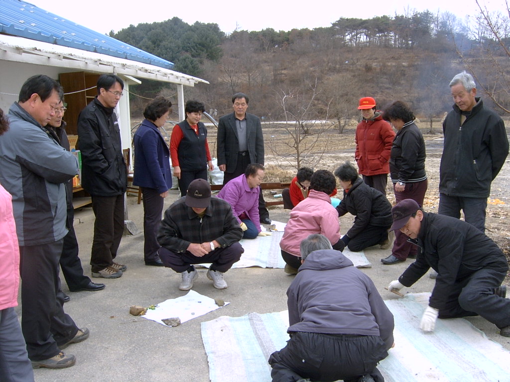 만천1리 양지마을 척사대회