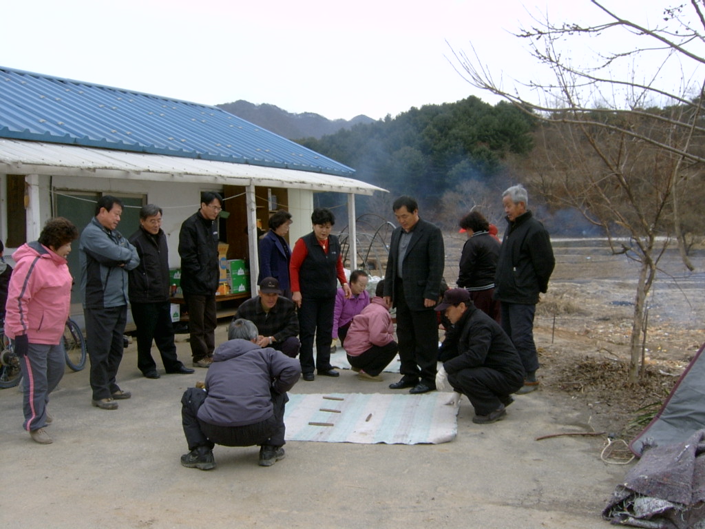 만천1리 양지마을 척사대회