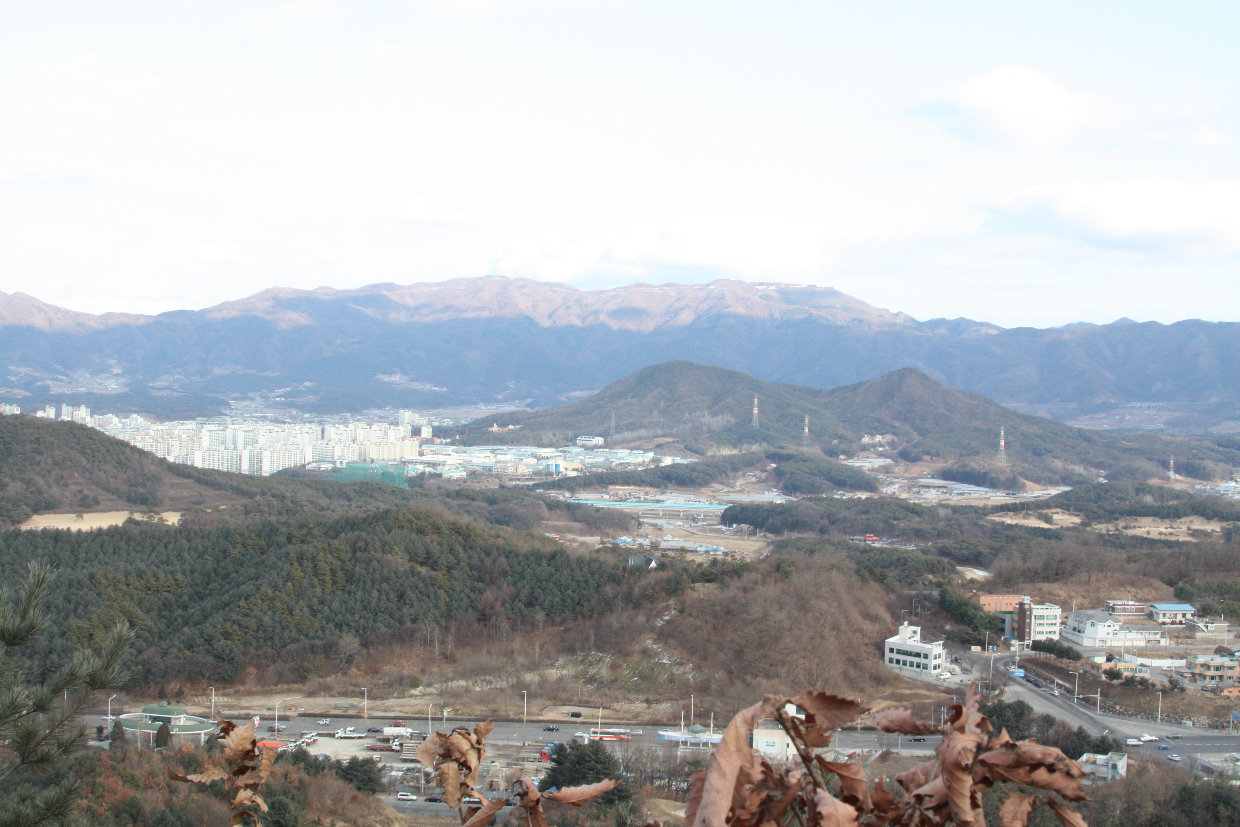향로산에서 바라본 대룡산