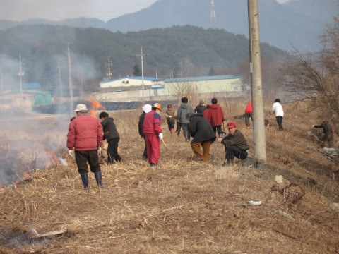 지내천살기기운동본부의 지내천정화 활동