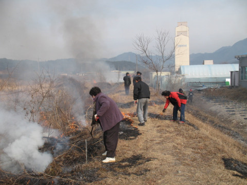 지내천살기기운동본부의 지내천정화 활동