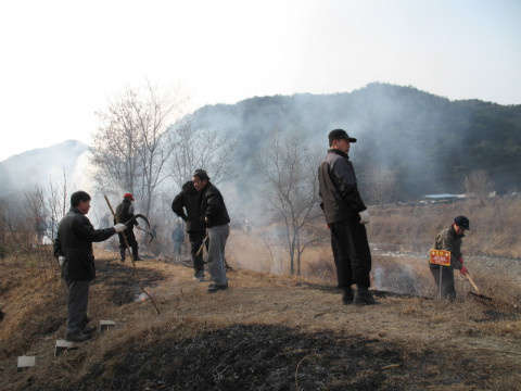 지내천살기기운동본부의 지내천정화 활동