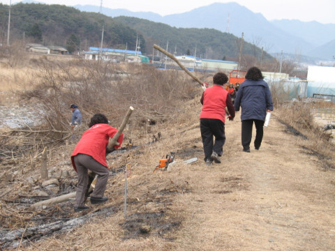 지내천 정화활동