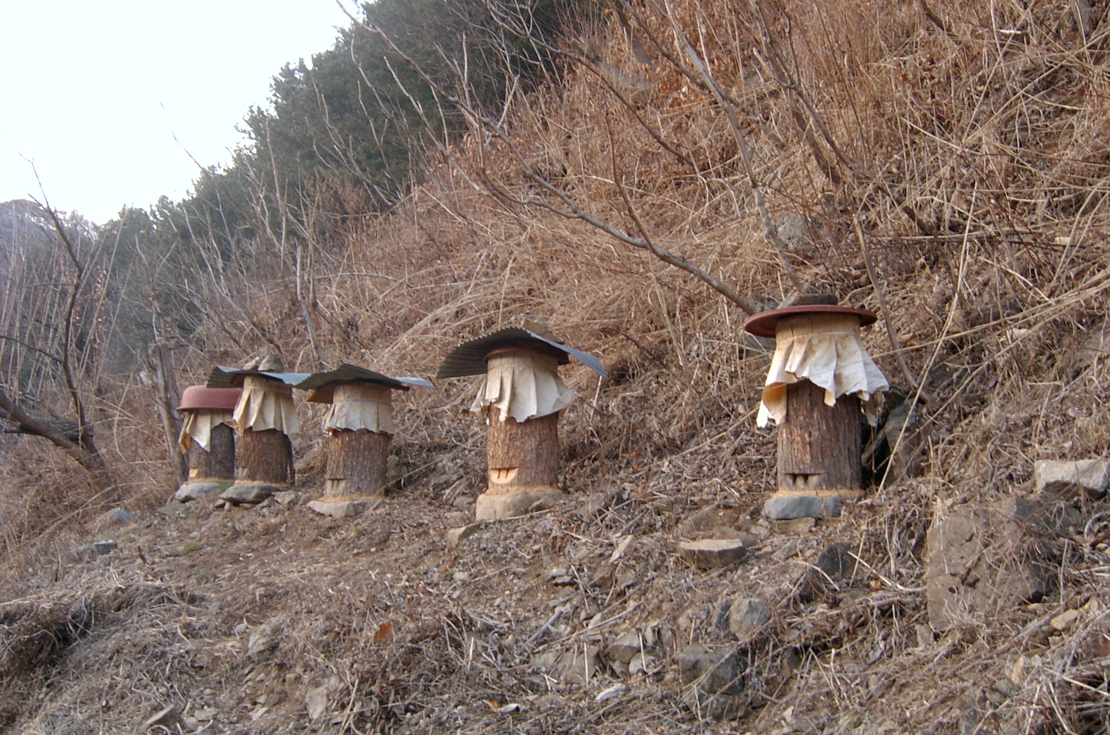 품걸1리 마을풍경