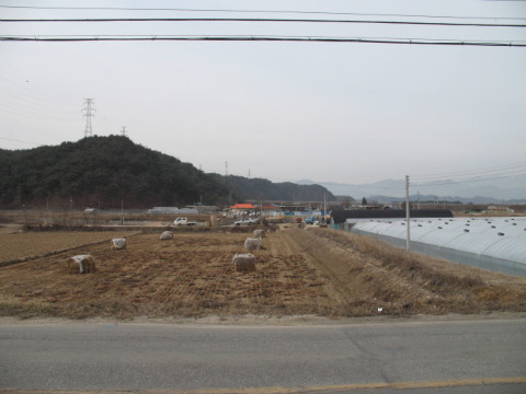 위나리마을(지내3리) 전경