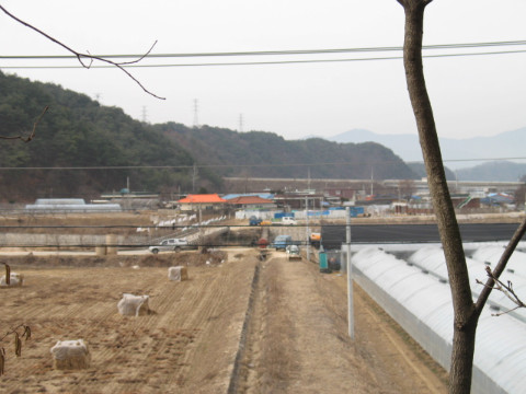 위나리마을(지내3리) 전경