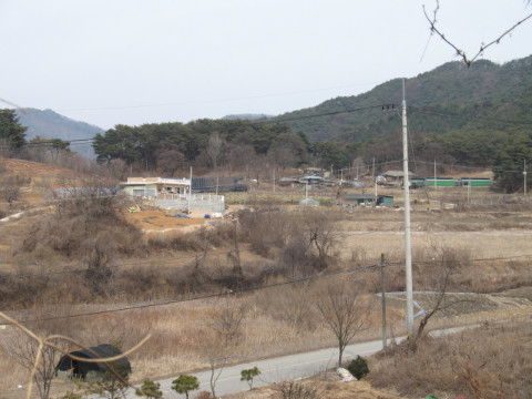 금옥골마을(월곡리) 전경
