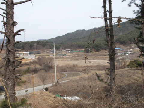 금옥골마을(월곡리) 전경