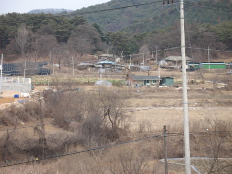 금옥골마을(월곡리) 전경
