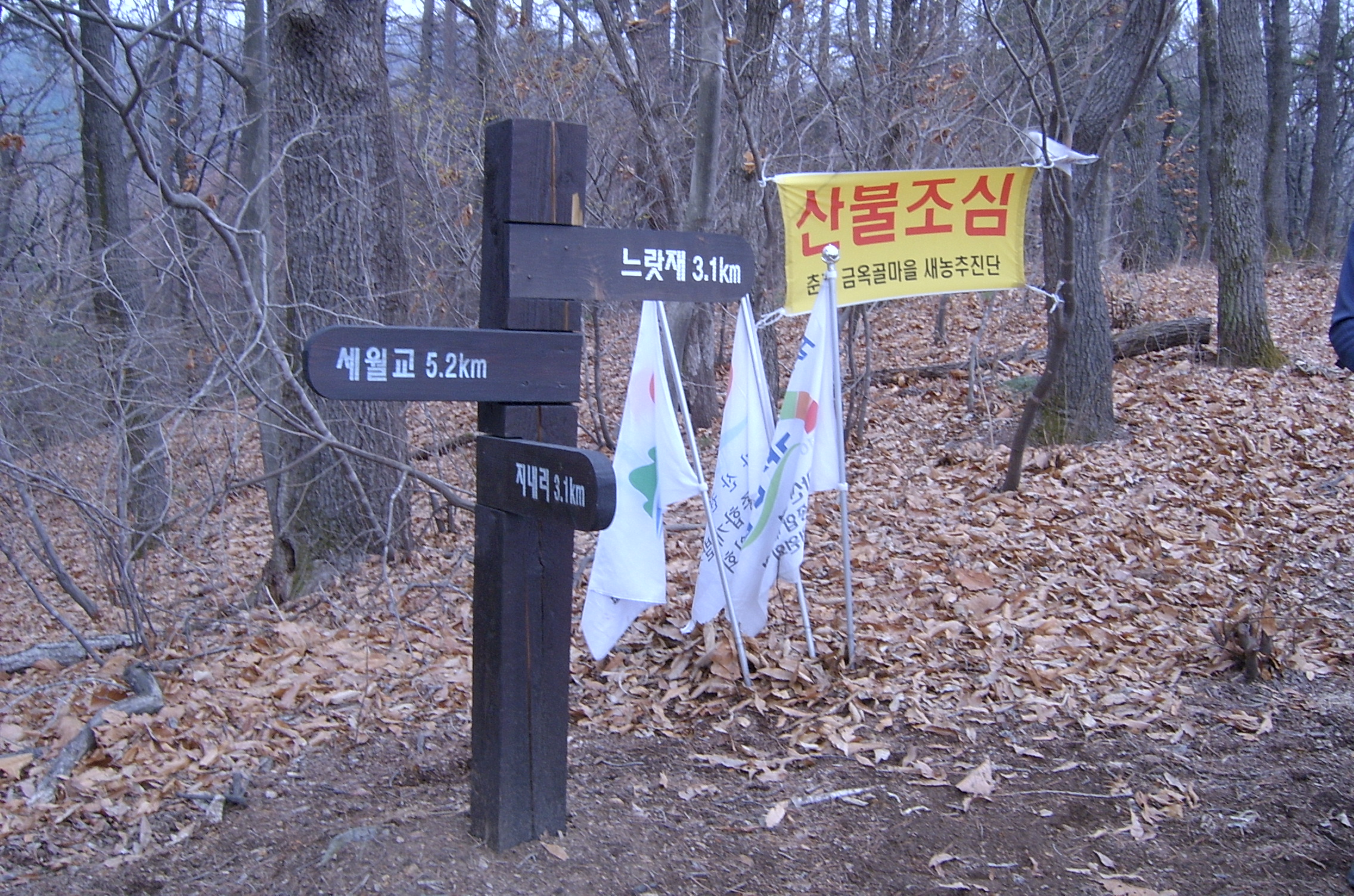 산불예방 캠페인 등반