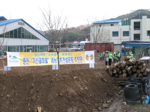 게이트볼장 뒤 철쭉 식재