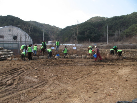 지내1리 가꾸미사업 현장