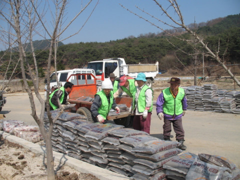 가산골마을 수도작목반 공동작업