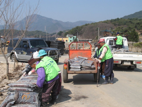 가산골마을 수도작목반 공동작업
