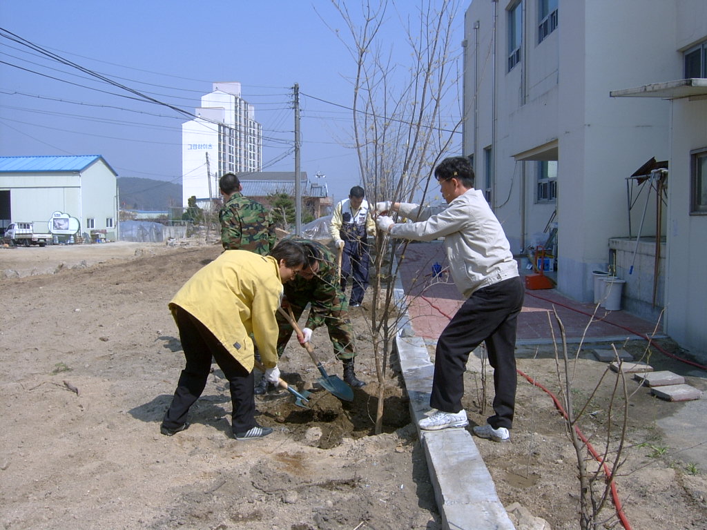 면청사 주변 환경정비
