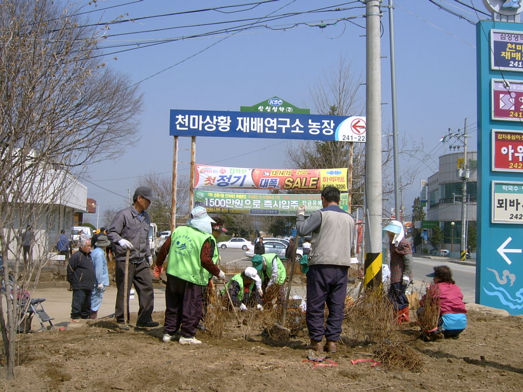지내1리춘천 가꾸미 운동