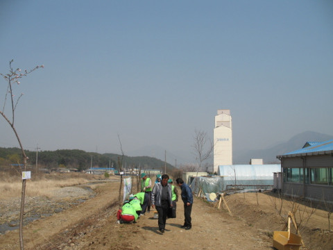 지내천 야생화 식재