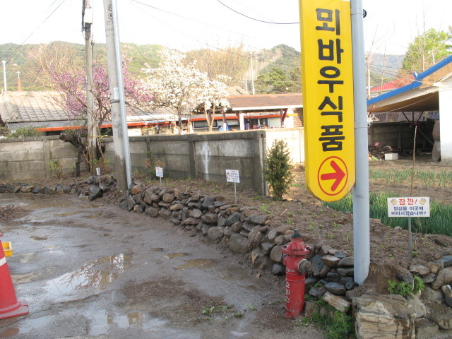 화단조성 및 야생화 식재