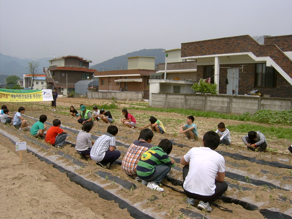 가산초교 고구마 심기 체험행사