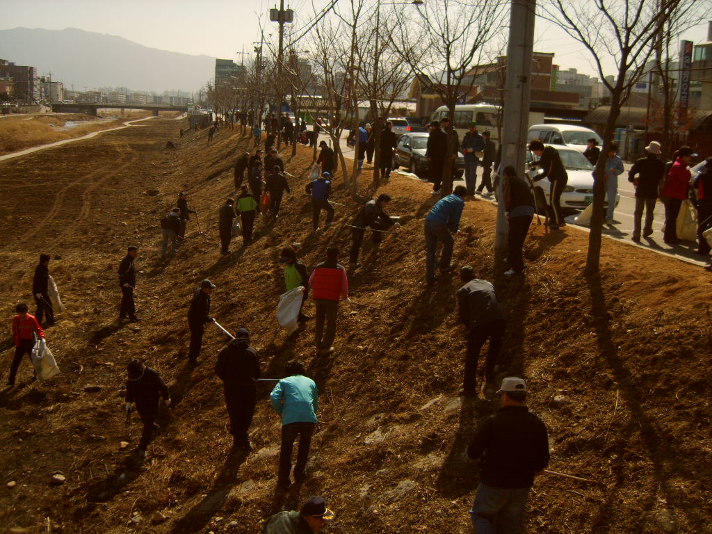2009퇴계동가꾸미사업추진