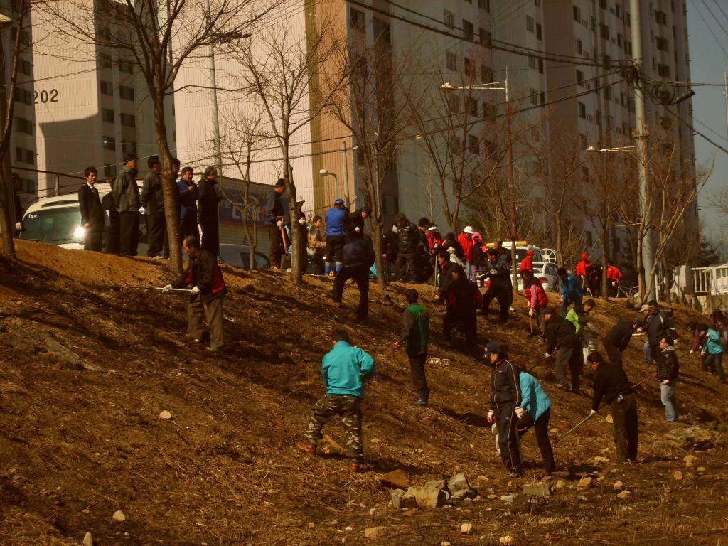 2009퇴계동가꾸미사업추진